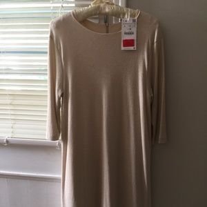 Knee length Large Zara Dress